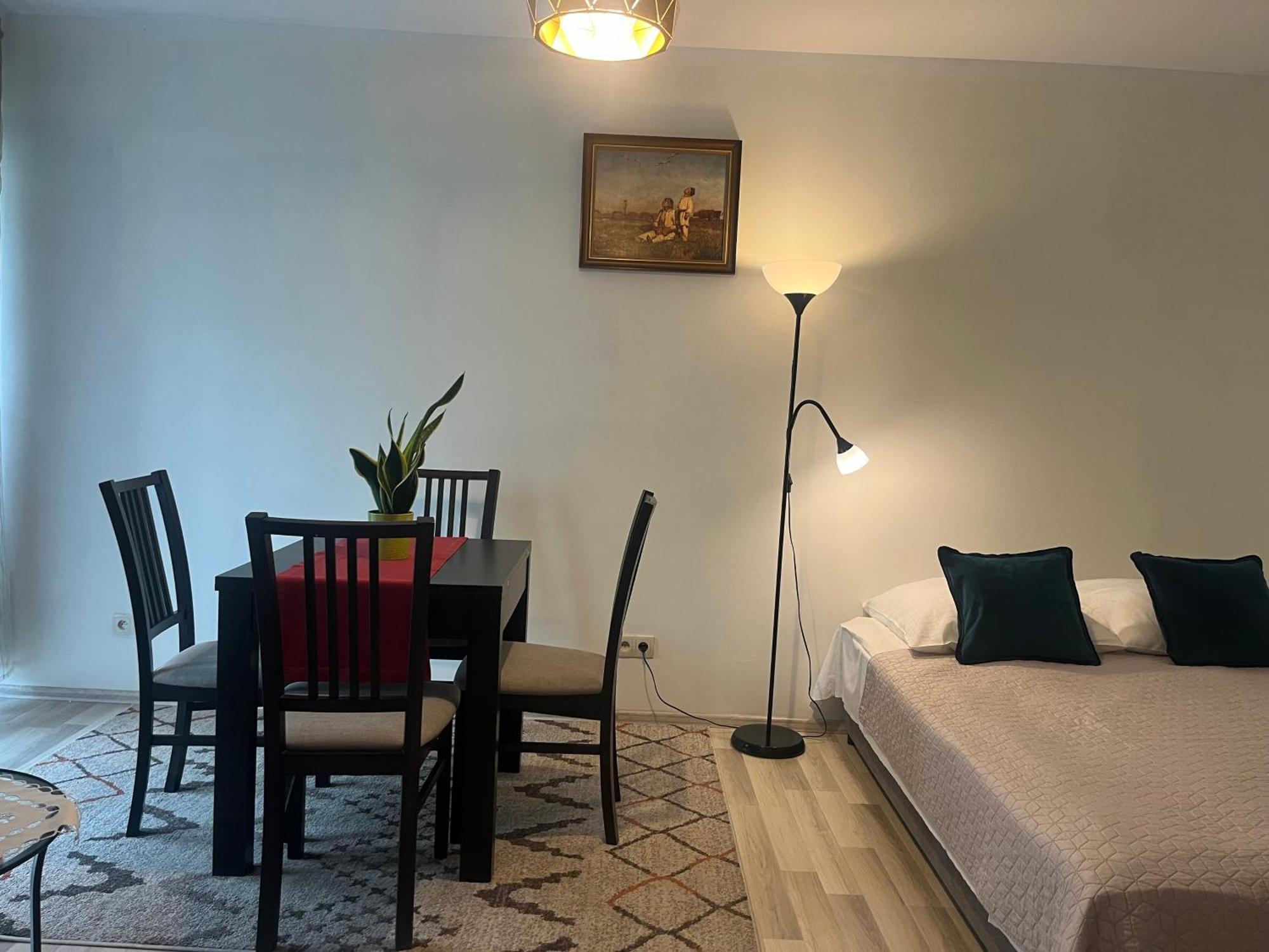 Apartament Lagiewniki クラクフ エクステリア 写真